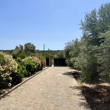 Alsalos